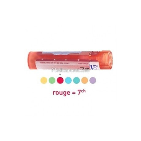 Camphora dose, granules Boiron 4CH, 5CH, 7CH, 9CH, 15CH, 30CH