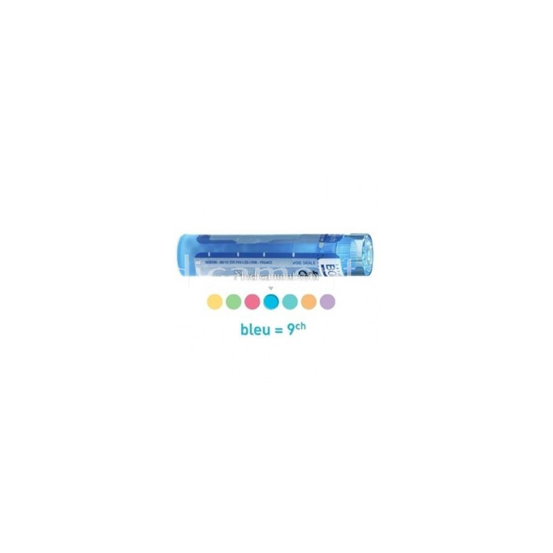 Cynara Scolymus granules, ampoules buvables Boiron 5CH Cynara Scolymus granules, ampoules buvables Boiron 5CH