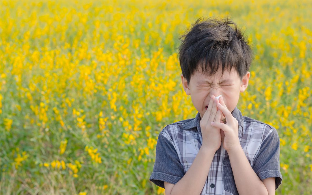 Au printemps, attention aux allergies respiratoires